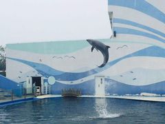 -北戴河圣蓝海洋公园