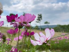 -钟山体育运动公园