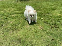 -梁子湖东篱老屋生态庄园