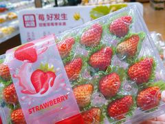 -OCT PARK欢乐时光