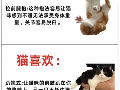 -美联众合动物医院·24h转诊中心