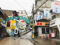 -猫咪博物馆(顶澳仔猫街店)