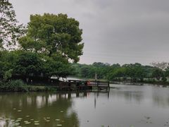 -八卦田遗址公园