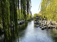 -教师之家赵家羊汤馆(东青龙街店)