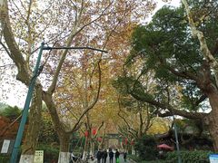 -杭州黄龙洞