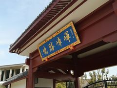 -龙寺生态园