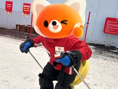 -哈尔滨热雪奇迹