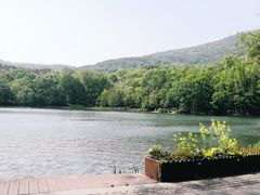 -紫霞湖公园