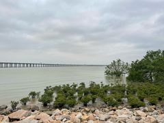 -宝安西湾红树林湿地公园