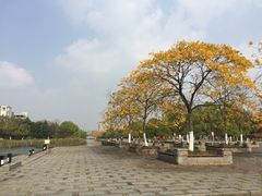 -江南大学(蠡湖校区)