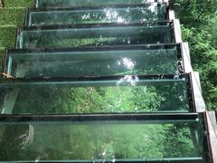 -川西竹海景区