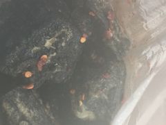 -五娭毑臭豆腐(黄兴南路店)