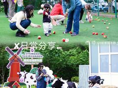 -胡姬港湾幼儿园(张江春晓校区)