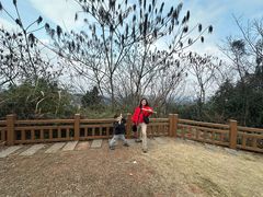 -老君山