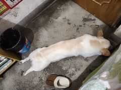 -尹三豆汁(前门旗舰店)