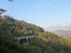 -金鸡山公园