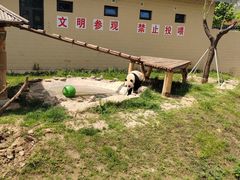 -石家庄市动物园