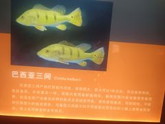 -台州海洋世界