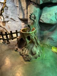 -Zoolung Zoolung动物主题公园(海信广场店)