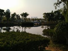 -金银湖国家城市湿地公园