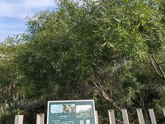 -福道