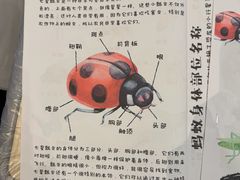 -大连金石滩绿发温泉假日酒店