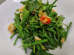 -鸽子侯·家宴·平价海鲜(市图书馆店)