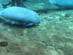 -珠海横琴长隆《卡卡虎奇遇记》