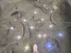 -大庆市博物馆
