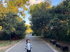 -宝岩生态观光园