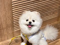 -山禾田·日料小屋(南山店)