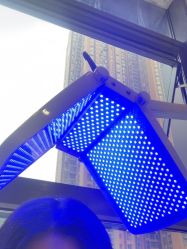 -碧莲盛·不剃发植发