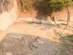 -西霞口神雕山野生动物世界