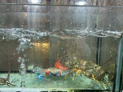 -蠔爺王志德生蚝馆(金沙湾店)