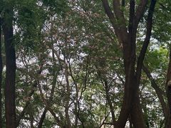 -玲珑塔公园