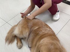 -美联众合动物医院·24h京西诊疗中心