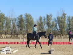 -北京群众马术培训基地