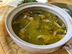 龙凤汤-天目湖刘老四农庄