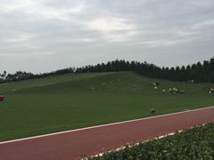 -迪茵湖田家舍生态农场