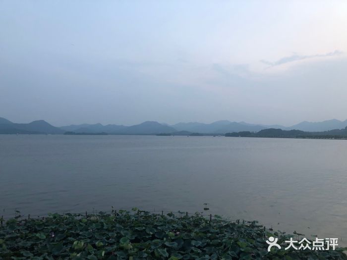 湖畔居茶楼(湖滨店)图片