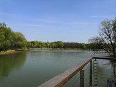 -昆山城市生态森林公园