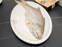 -吴记富苑(朝阳店)