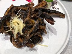 -天福苑(崇宁路店)