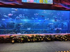 -白鹿仓冰雪海洋世界