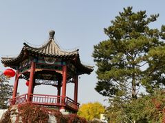 -大兴滨河森林公园