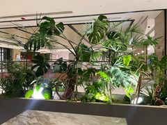 -théATRE 茶聚场(王府中環店)