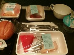 -新加坡航空公司(ION)