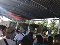 -白洋淀景区