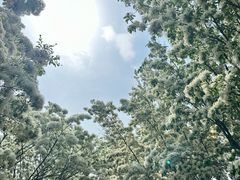 -泰丰公园