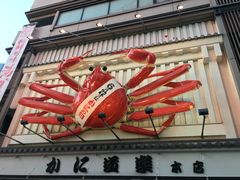-蟹道乐(道顿堀本店)